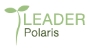 Leader polaris